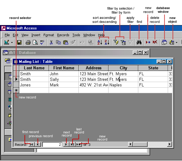 [Datasheet View]