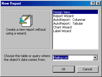 [New Report window]