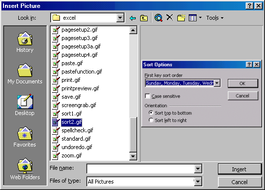 [Insert Picture dialog box]