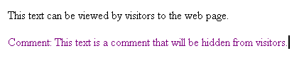 [Comment example]