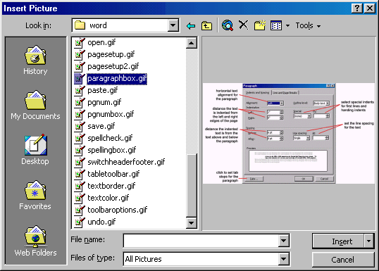 [Insert Picture dialog box]