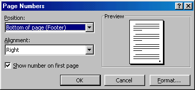 [page number dialog box]