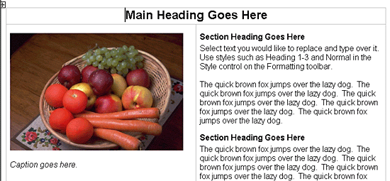 [Web template example]